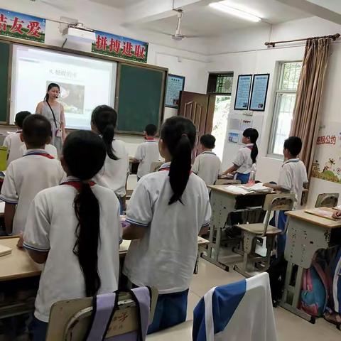 海棠区进士学区小学中段语文教研活动