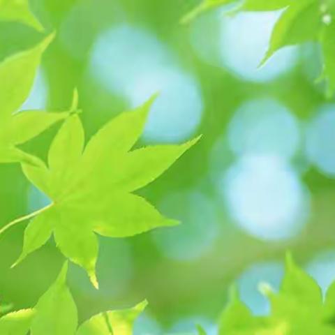 【訾欣】如何做好线上和线下教学的衔接 ——宁陵县第一实验小学四年级数学组