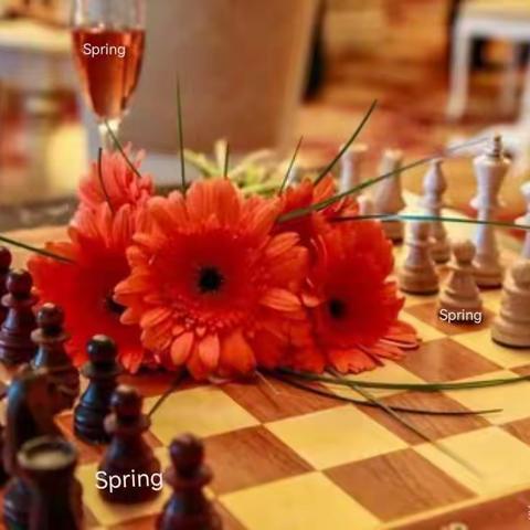 2022年滨州市国际象棋国际跳棋五子棋晋级测试圆满成功🎉🎉🎉🌹🌹🌹