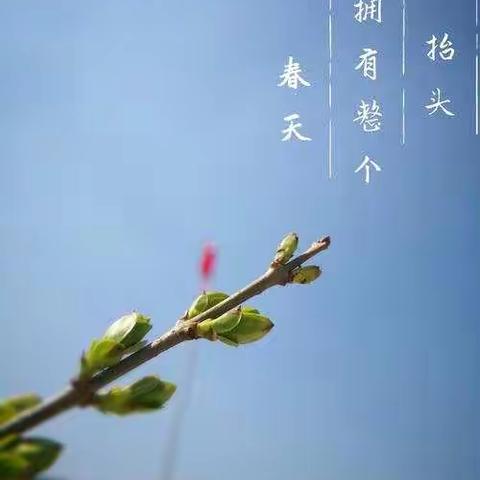 不负春光      教学相长