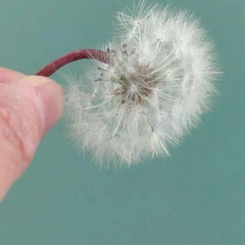 大自然的赐予 ——四季美景