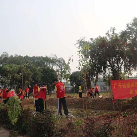 又是一年春好处，植树绿化正当时——记莲塘镇初级中学校园植树活动