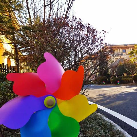 港中旅公馆一期2月份物业服务简报