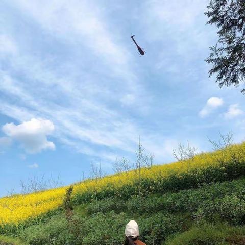 春风十里，我在这里等你