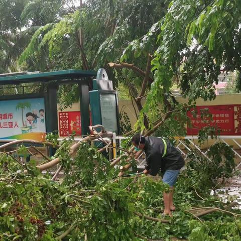 【海南省三亚蓝天志愿者救援中心】红塘湾分队