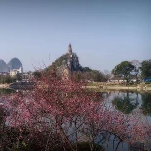 点亮心花行大道 ，交织锦绣映山川——五岭诗社诗词雅辑