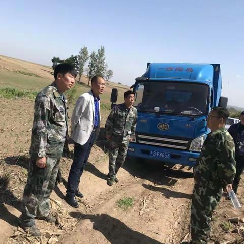 县林业局积极开展松毛虫专项防治工作