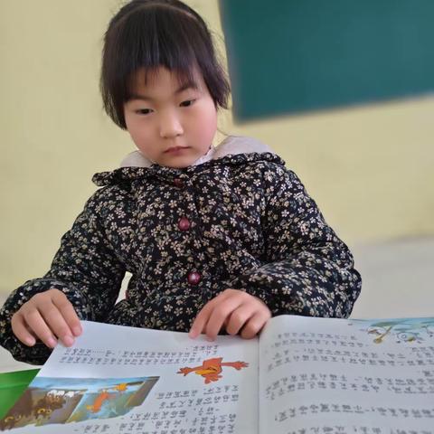 大韩庄幼儿园大班《绘本阅读》