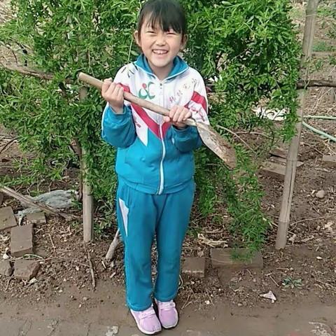 爱绿护绿，春意盎然