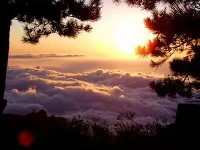 在学习中进步，在培训中提升——晋城市中小学校长赴上海金山区跟岗学习