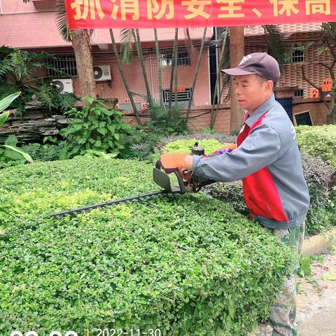 东洲花园十一月物业服务