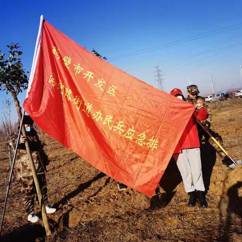 海河路办事处武装部组织民兵参与植树活动打造绿色城墙