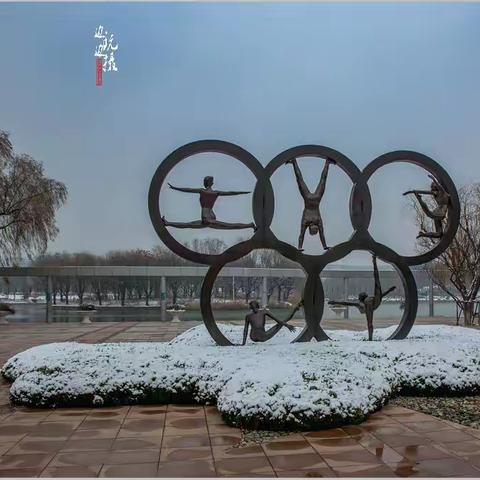 2018  青岛第一场雪  我在奥林匹克雕塑文化园赏雪