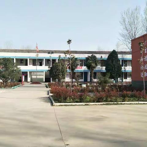 新站镇天齐小学“停课不停学”教学简报