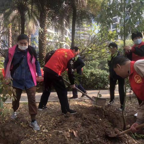 组织党员退役军人志愿者开展植树节活动