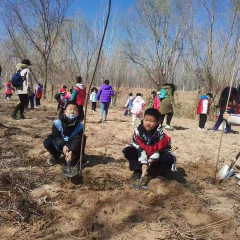 种下希望 拥抱春天——胜利五中二一中队植树节活动