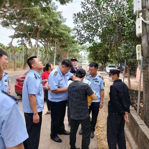 风塘组开展入户槟榔涉高杆农作物砍伐工作动态