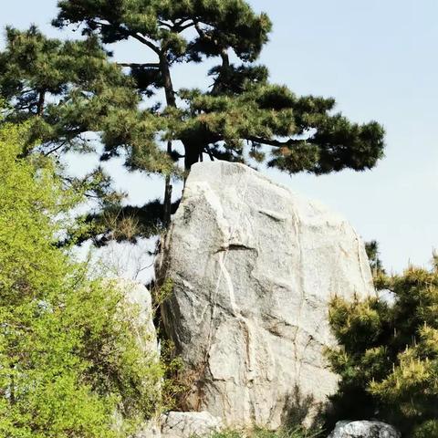 春染大地奥林匹克公园