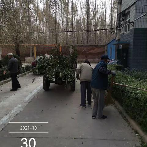 朱庄村人居环境整治