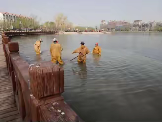 海宝公园“抓分工  促成效”扎实做好园内景观完善工作