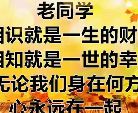 王宝玉的美篇