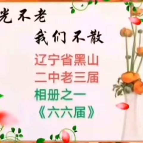 王宝玉的美篇