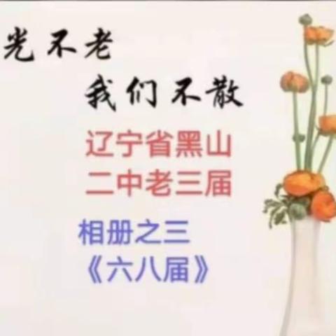 王宝玉的美篇