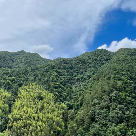 这几天的游山玩水，沿途风光无限好，忍不住发一波。