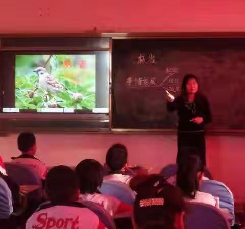 [聚焦统编教材，落实语文要素]——记义成功小学“小学语文统编教材（赤峰）培训”精神传达会议