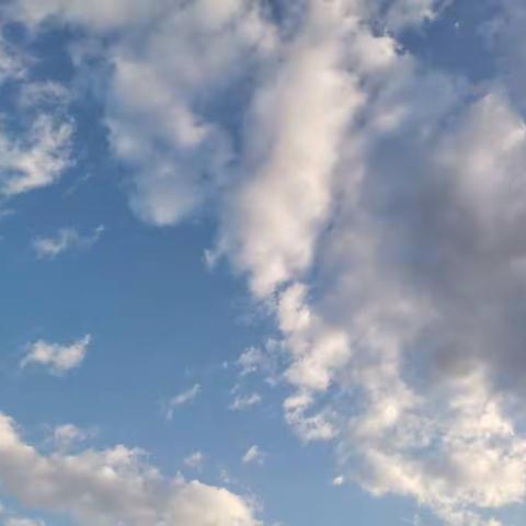 唐婉淇的寒假生活