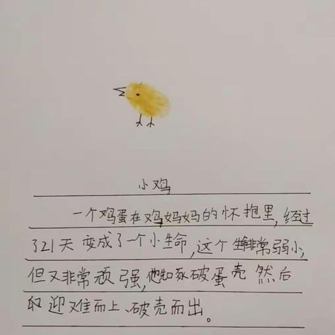 每一份认真完成的作品，都值得被珍藏——4.23日三年级五班手指画配文