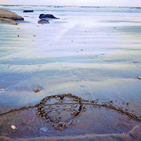 行走的课堂——社会实践活动