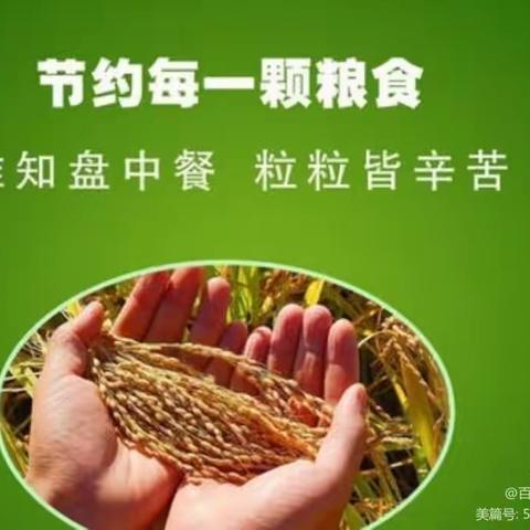 师生健康，中国健康——节约粮食，杜绝浪费