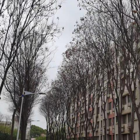 春来闲逸，花忙竞盛