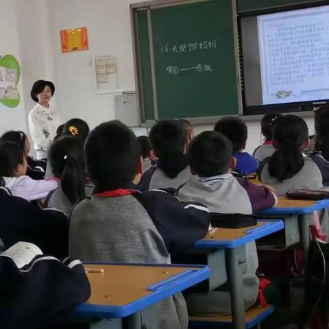        岁月静好，便是晴天