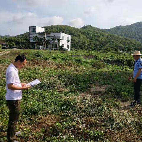 祼露地块图斑核查工作简报