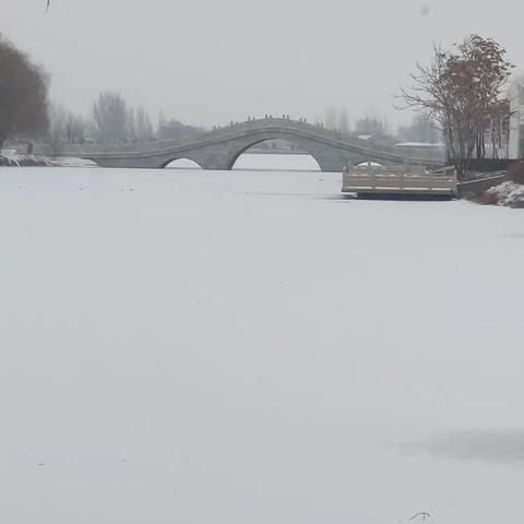 银川市2023年的第一场雪