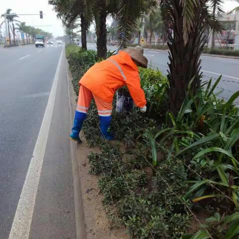 【新安洁环境】雨中作业力度不减，加强精细化保洁质量