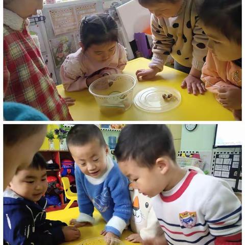 课程故事|春天的小蜗牛