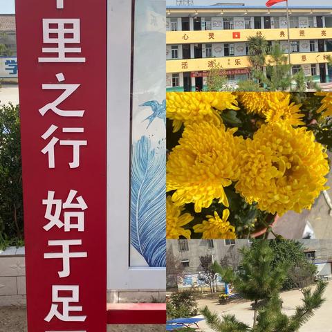 及时且自好，来日殊未量----赵村乡中心小学语文教研活动