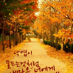 相逢       就是一种美丽