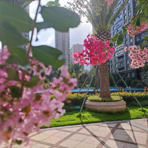 中都物业天和家园三期六月工作简报