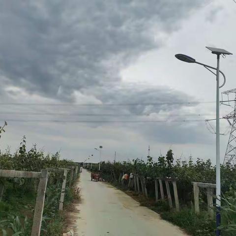 安装路灯补死角 照亮乡村振兴路