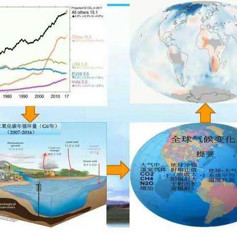 气候变化背景下的碳汇