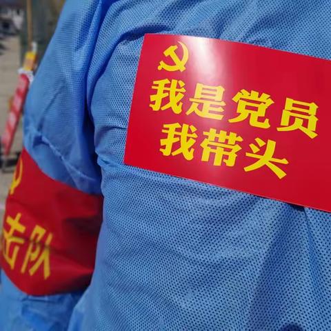 【西营】党员志愿服务队 防疫一线显担当