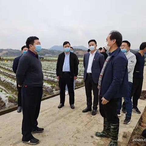 抚州市局在黎川召开核心示范区建设暨烟区产业综合体试点建设工作调度会