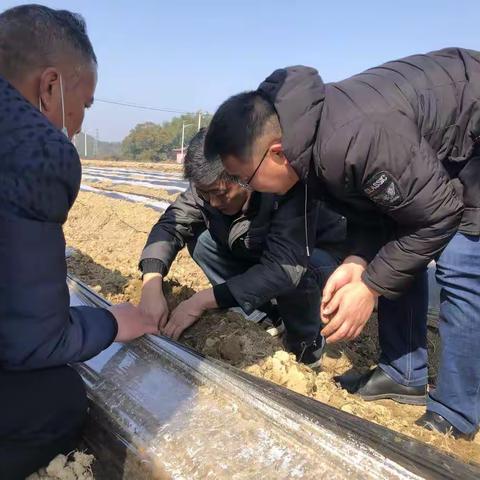 省烟科所所长何宽信一行到黎川调研指导湖北中烟示范区建设工作