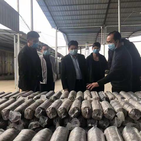 市局（公司）党组书记、局长（经理）、市局应对新冠肺炎疫情工作领导小组组长肖红武到黎川督导工作