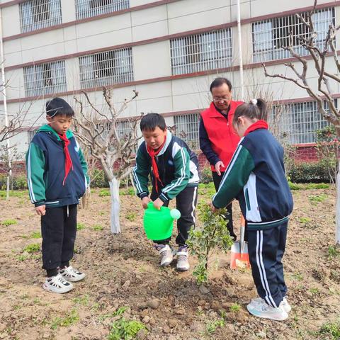 “学雷锋 护绿植” 环小在行动