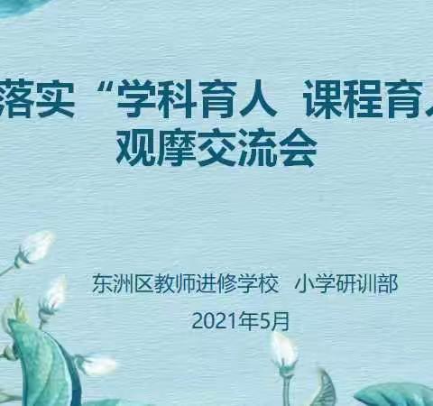 落实“学科育人      课程育人”观摩交流会---东洲师校小学研训部网络教研活动